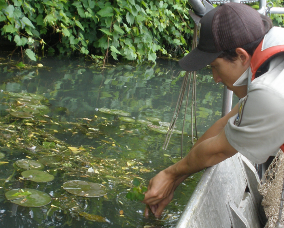 使用光度計(jì)檢測(cè)魚(yú)塘水質(zhì)